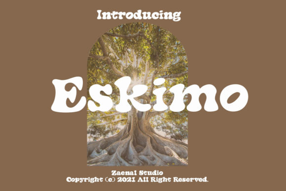 Eskimo: A Trendy Display Font for Editorial Design