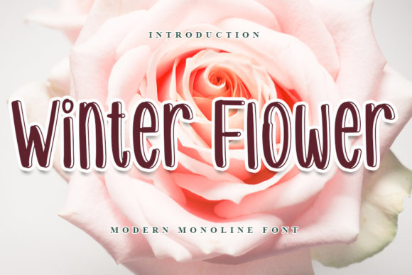 Winter Flower: A Playful Display Font for Creative Websites